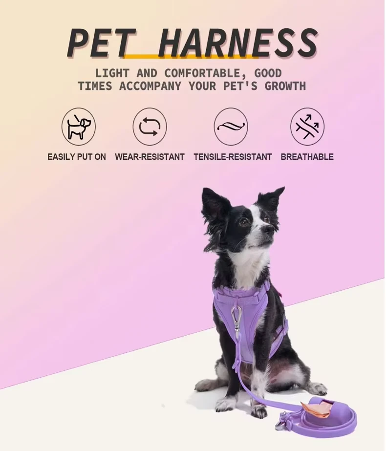 Xedd ta 'Tqabbil U Leash Għall-Klieb Ferret On A Leash Dog Harness Matching Leash Dog Harness With Matching Leash Matching Harness And Leash Matching Dog Harness And Leash Bl-użu ta' xedd tal-qtates Toulifly Cat Harness Pupteck Soft Mesh Cat Vest Harness Matching Dog Harness Collar And Leash Marshall Ferret Harness And Lead Harness Of 8