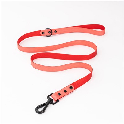 Leash tal-Klieb Rilaxx Quick