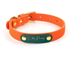 Kwalità PU Dog Collar Dog Leash